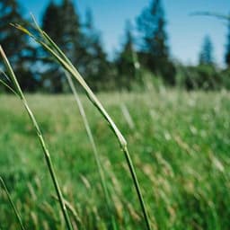 Google DeepMind Cracks New Protein Folding Challenge