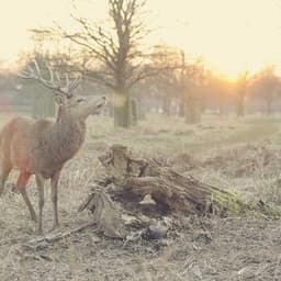 China Unveils National AI Infrastructure Plan