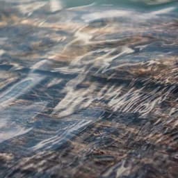 Anthropic Ships Claude with Computer Use for Enterprise